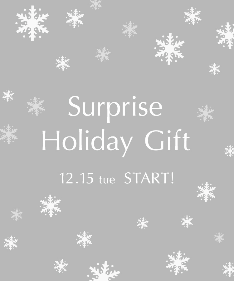 ONLINE BOUTIQUE Holiday Gift